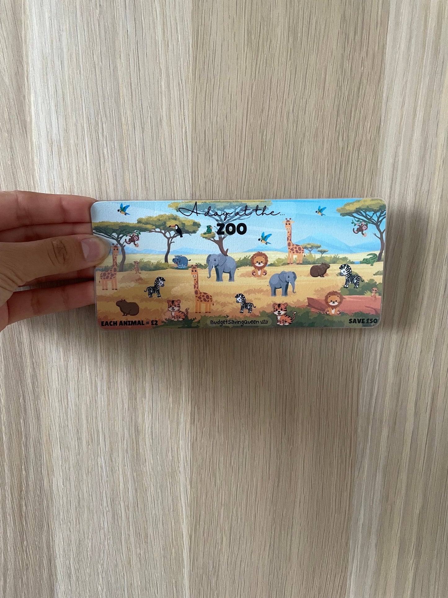 Zoo Savings Challenge