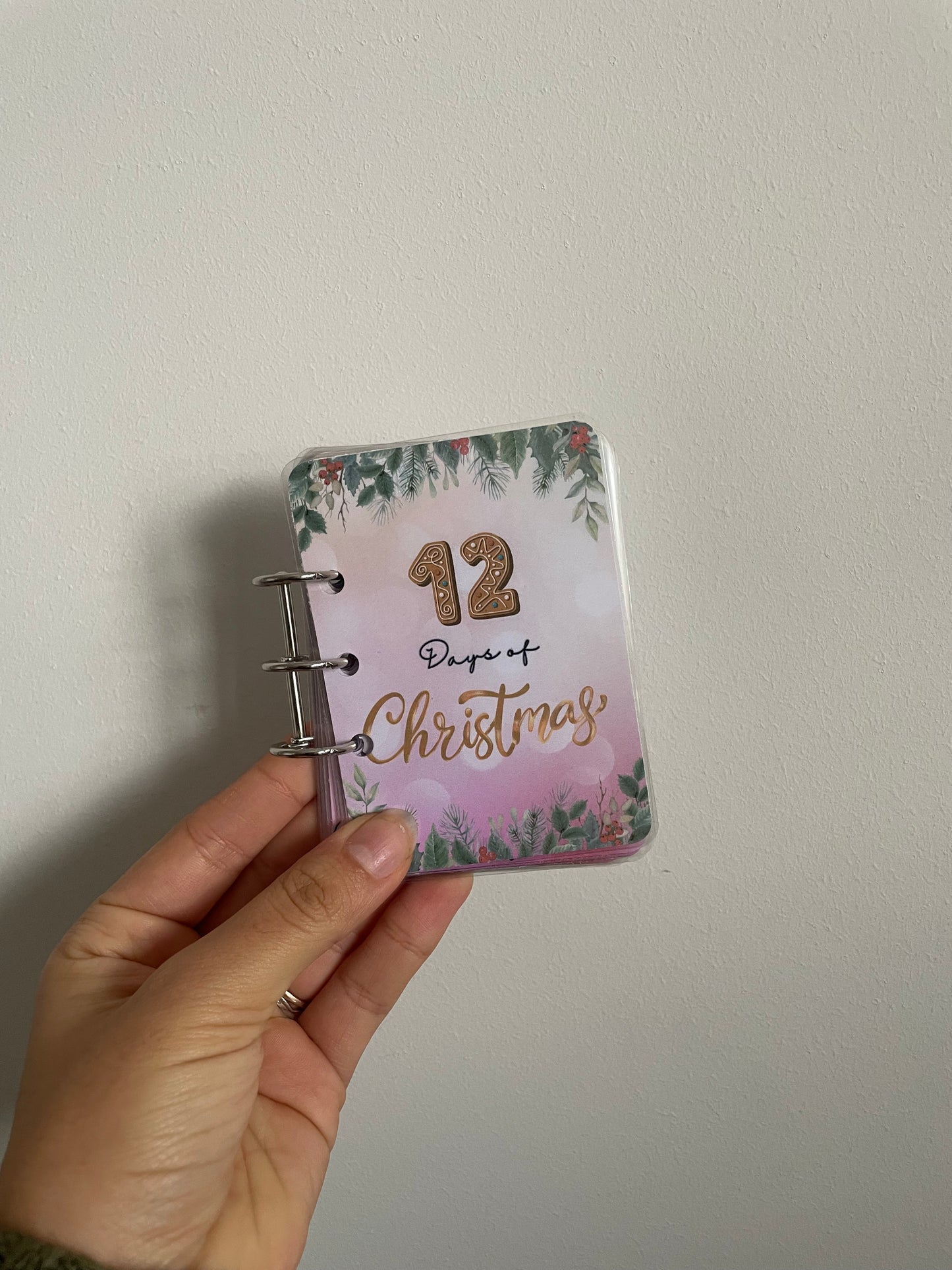 12 Days of Christmas Savings Booklet