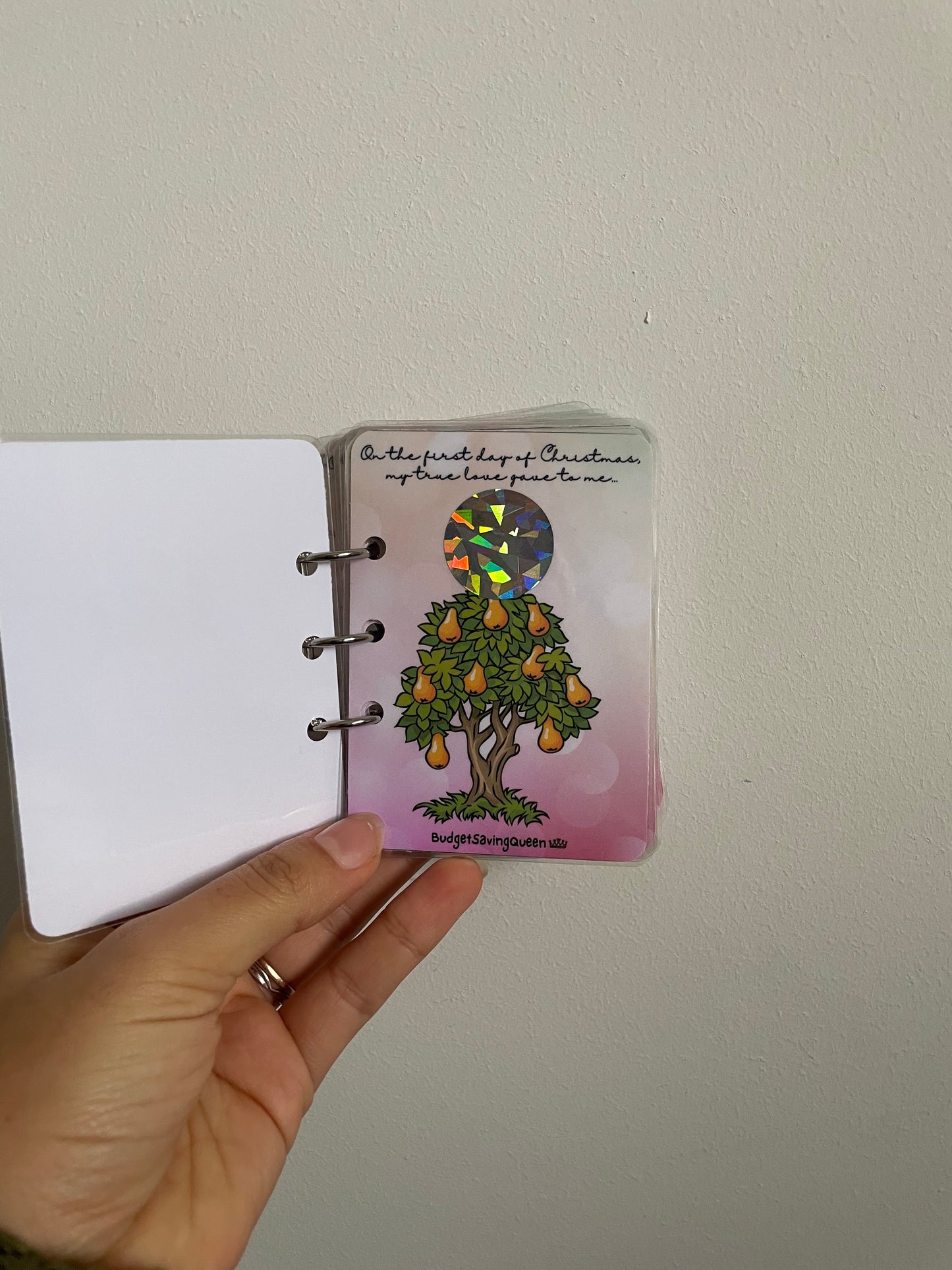 12 Days of Christmas Savings Booklet