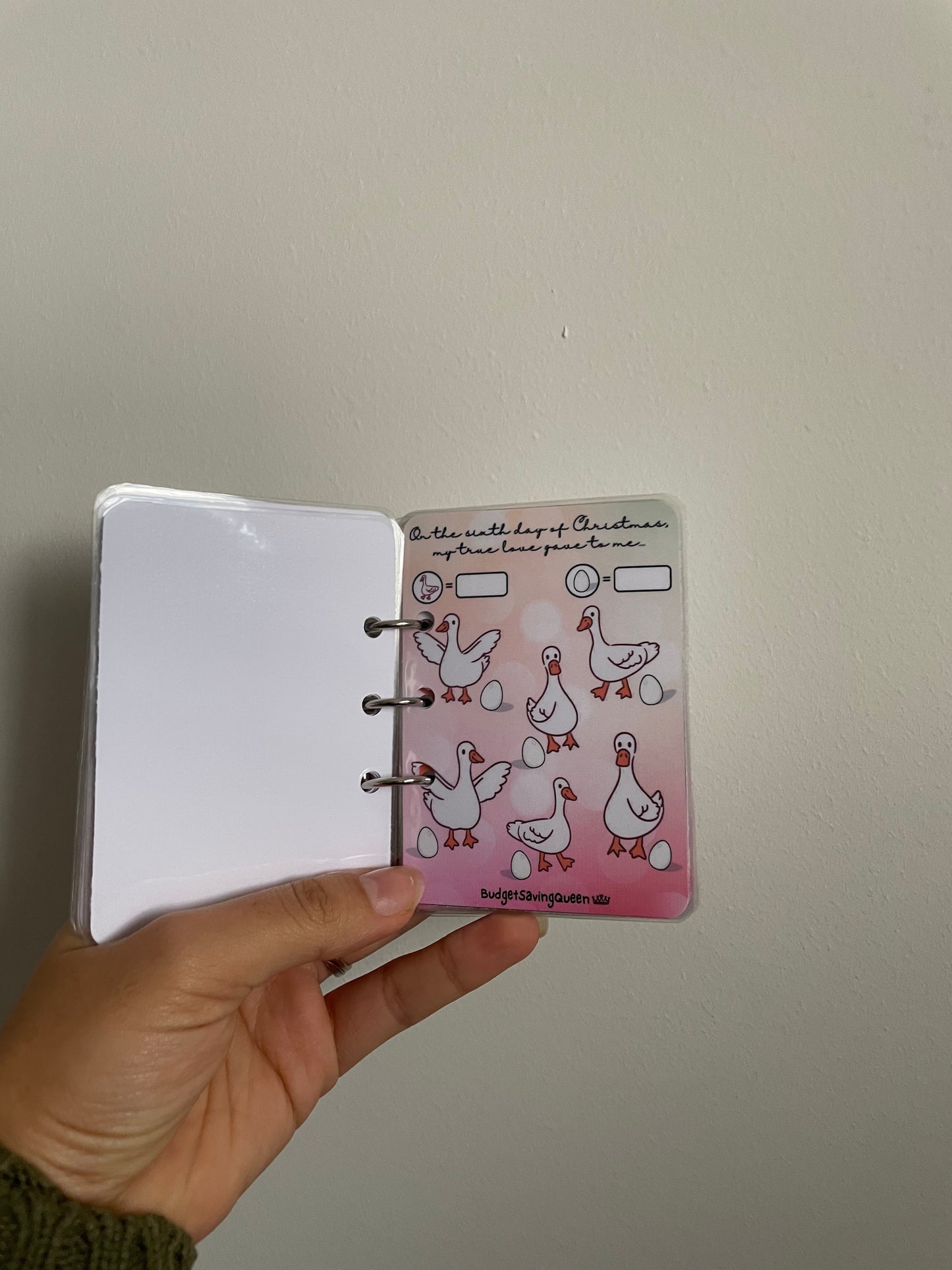 12 Days of Christmas Savings Booklet