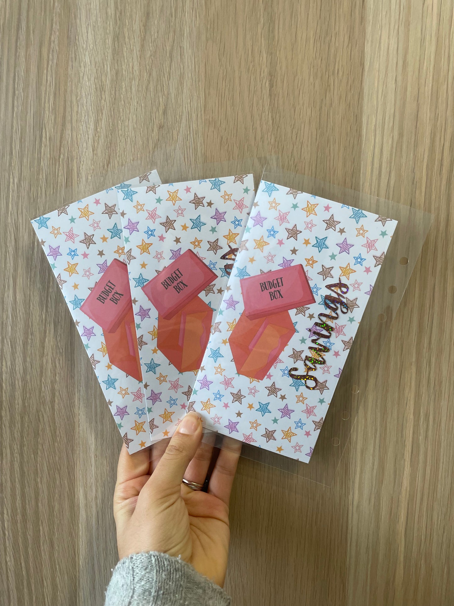 Budget Box Non Zipper Envelope